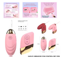 HUEVO VIBRADOR CONTROL